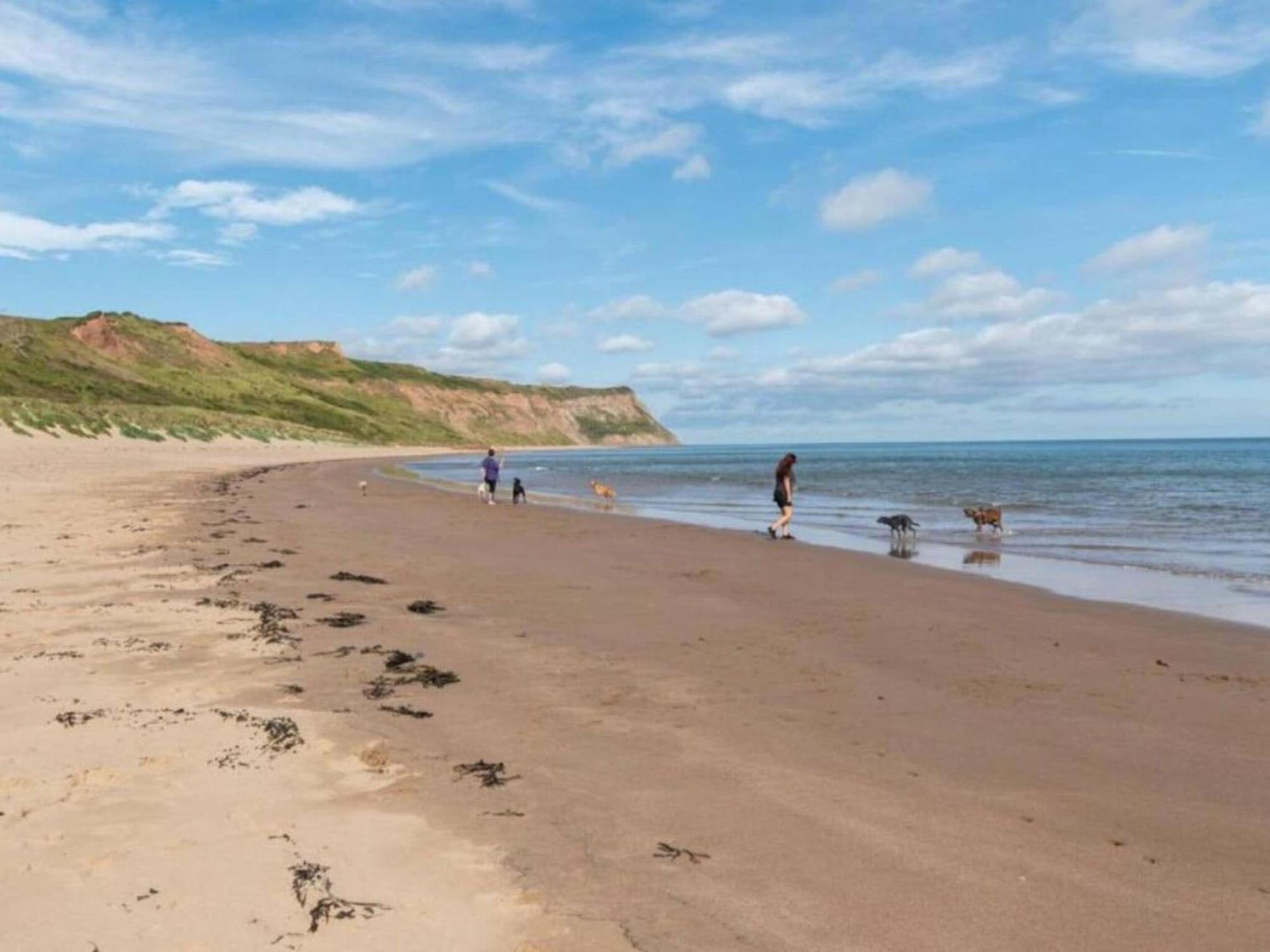 Seasalt Twobedroom Apt In Skinningrove Экстерьер фото